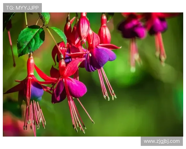 英超E发音解析，英语中的特殊拼写规则
